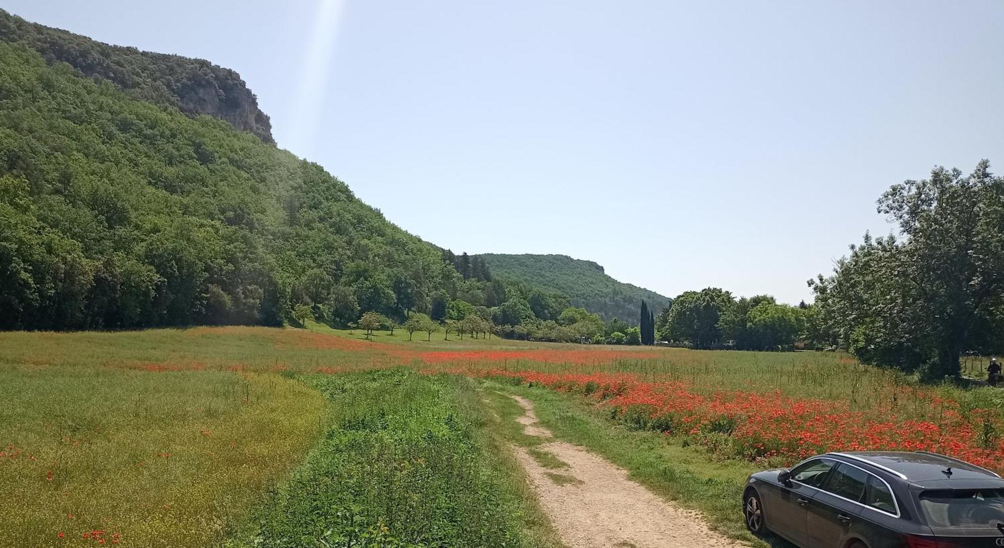 Les Jonquilles Bed & Breakfast Domme Dış mekan fotoğraf