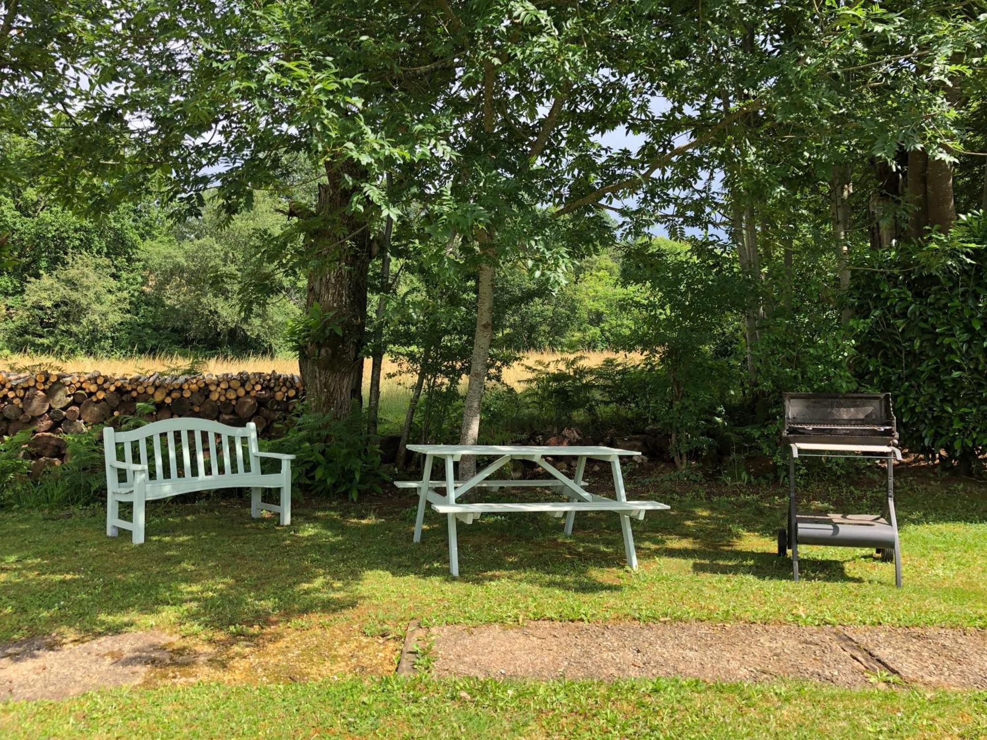 Les Jonquilles Bed & Breakfast Domme Dış mekan fotoğraf