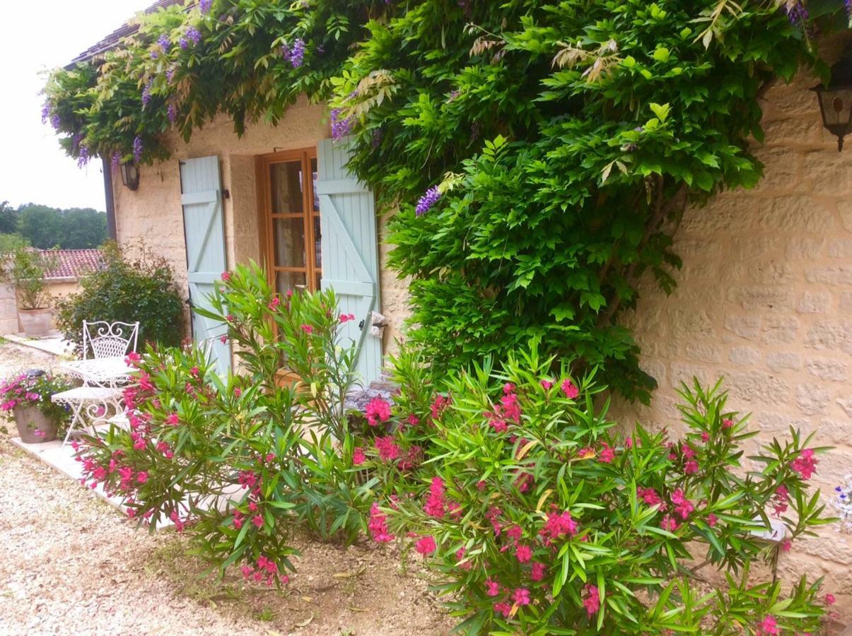Les Jonquilles Bed & Breakfast Domme Dış mekan fotoğraf